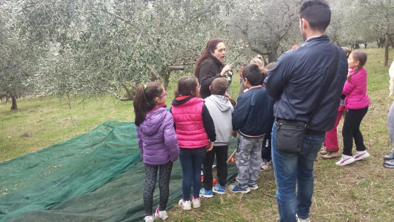 Cannara Societa Agricola F.Lli Angelucciヴィラ エクステリア 写真